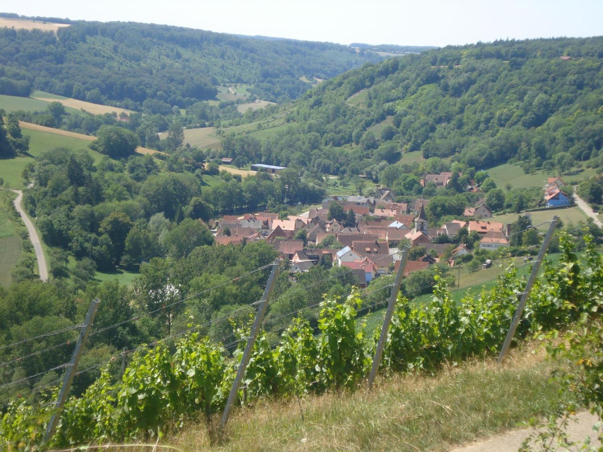 Landhaus Zum Falken Tauberzell Bagian luar foto